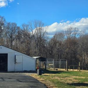 Photo #14 of 1350 Country Estates Drive, Lowry, VA 24.0 acres