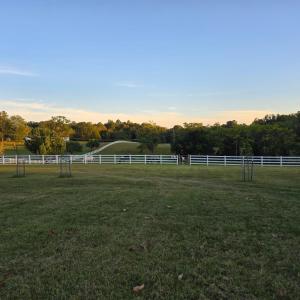 Photo #7 of 1350 Country Estates Drive, Lowry, VA 24.0 acres