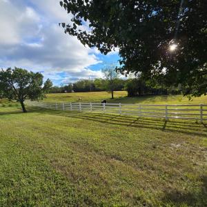 Photo #6 of 1350 Country Estates Drive, Lowry, VA 24.0 acres