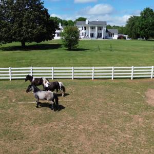Photo #61 of 1350 Country Estates Drive, Lowry, VA 24.0 acres