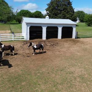 Photo #60 of 1350 Country Estates Drive, Lowry, VA 24.0 acres