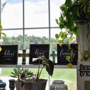 Photo #18 of 1350 Country Estates Drive, Lowry, VA 24.0 acres