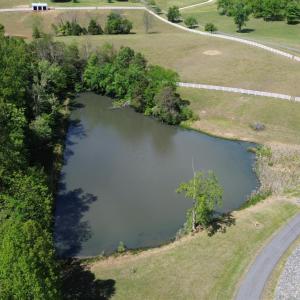 Photo #71 of 1350 Country Estates Drive, Lowry, VA 24.0 acres