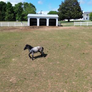 Photo #65 of 1350 Country Estates Drive, Lowry, VA 24.0 acres