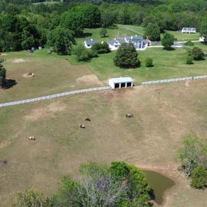 Photo #68 of 1350 Country Estates Drive, Lowry, VA 24.0 acres