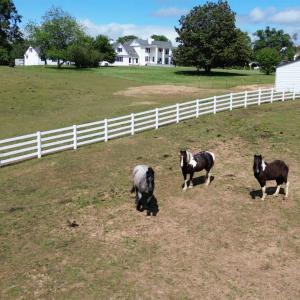 Photo #64 of 1350 Country Estates Drive, Lowry, VA 24.0 acres