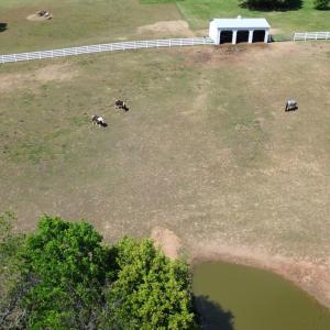 Photo #66 of 1350 Country Estates Drive, Lowry, VA 24.0 acres
