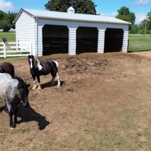 Photo #59 of 1350 Country Estates Drive, Lowry, VA 24.0 acres