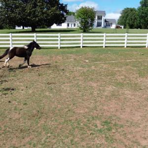 Photo #62 of 1350 Country Estates Drive, Lowry, VA 24.0 acres