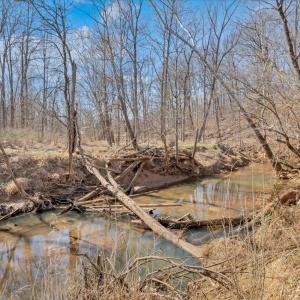 Photo #43 of 102 Ethan Court, Lynchburg, VA 0.4 acres