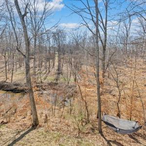 Photo #38 of 102 Ethan Court, Lynchburg, VA 0.4 acres