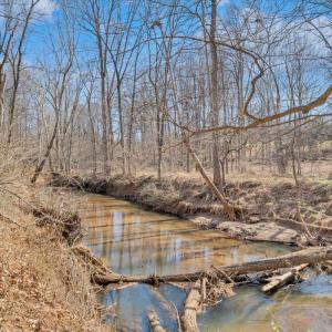 Photo #42 of 102 Ethan Court, Lynchburg, VA 0.4 acres