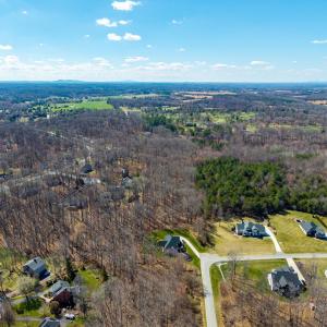 Photo #55 of 1204 MacLaren Place, Forest, VA 1.7 acres