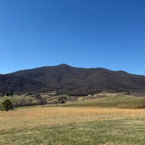 Photo #4 of 1431 High Peak Road, Monroe, VA 1.1 acres