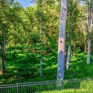 Photo #6 of 109 Trinity Court, Lynchburg, VA 1.2 acres