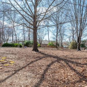 Photo #56 of 1256 Whistling Swan Drive, Forest, VA 0.5 acres