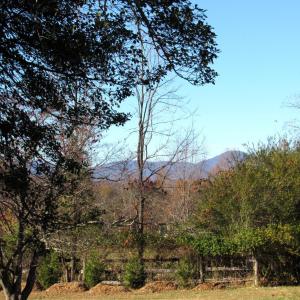 Photo #37 of 328 Huff Creek Trail, Amherst, VA 1.2 acres