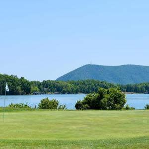 Photo #24 of 1273 Graves Harbor Trail, Huddleston, VA