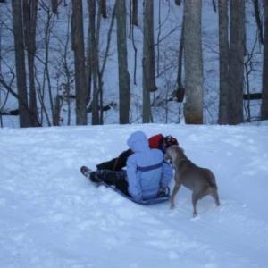 Photo #71 of 105 Bethel Park Drive, Lynchburg, VA 1.0 acres
