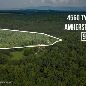 Photo #3 of 4560 Tye River Road, Amherst, VA 9.5 acres