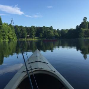 Photo #93 of 378 Tusculum Lane, Amherst, VA 5.0 acres