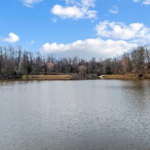 Photo #90 of 378 Tusculum Lane, Amherst, VA 5.0 acres