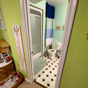 Photo #64 of 921 Alum Springs Road, Forest, VA 0.5 acres