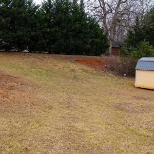 Photo #31 of 147 STRATFORD PL, Madison Heights, VA 0.4 acres