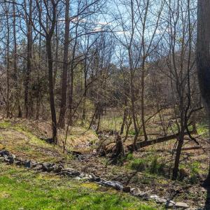 Photo #39 of 4928 Windsor Avenue, Lynchburg, VA 0.3 acres