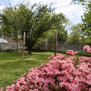 Photo #25 of 200 Warren Avenue, Lynchburg, VA 0.1 acres