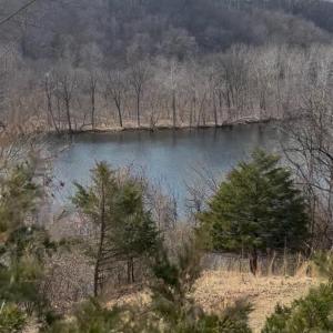 Photo #31 of 426 Burgess Road, Madison Heights, VA 43.7 acres