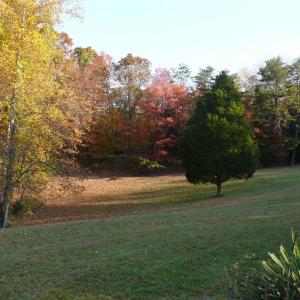 Photo #44 of 426 Burgess Road, Madison Heights, VA 43.7 acres