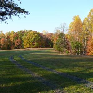 Photo #52 of 426 Burgess Road, Madison Heights, VA 43.7 acres