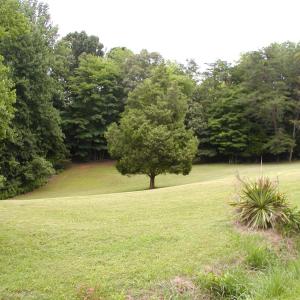 Photo #55 of 426 Burgess Road, Madison Heights, VA 43.7 acres