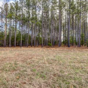 Photo #15 of 2518 Reedy Spring Road, Spout Spring, VA 2.0 acres