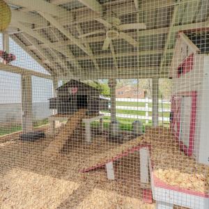 Photo #84 of 201 Priddy Street, Keysville, VA 1.7 acres