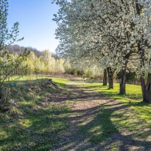 Photo #3 of 2205 Concord Turnpike, Lynchburg, VA 16.3 acres