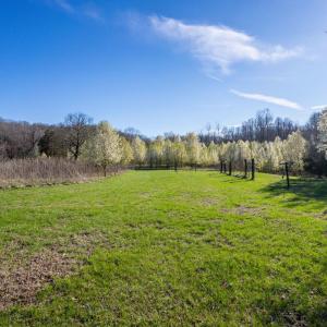 Photo #19 of 2205 Concord Turnpike, Lynchburg, VA 16.3 acres