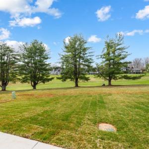 Photo #63 of 45 Grandset Drive, Forest, VA 0.1 acres