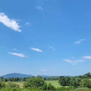 Photo #67 of 45 Grandset Drive, Forest, VA 0.1 acres