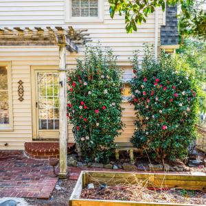 Photo #40 of 1609 Morrison Drive, Lynchburg, VA 0.2 acres