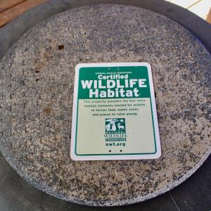 Photo #23 of 1501 Traylor Lane, Lynchburg, VA 0.9 acres