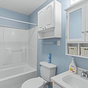 Photo #10 of 542 Lake Nelson Lane, Arrington, VA 0.5 acres