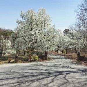 Photo #57 of 224 Walnut Road, Danville, VA 45.5 acres