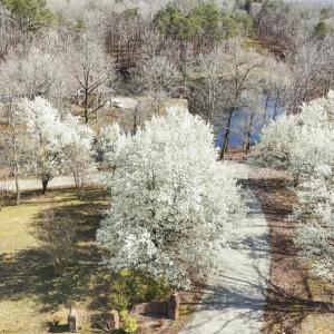 Photo #59 of 224 Walnut Road, Danville, VA 45.5 acres