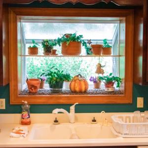 Photo #13 of 224 Walnut Road, Danville, VA 45.5 acres