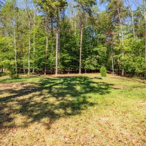 Photo #47 of 207 Merrywood Drive, Forest, VA 2.3 acres