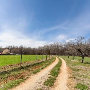 Photo #44 of 1783 Prince Edward Highway, Pamplin, VA 96.6 acres