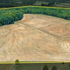 Photo #89 of 1783 Prince Edward Highway, Pamplin, VA 96.6 acres