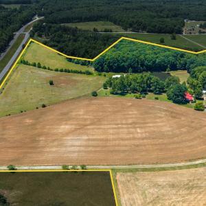 Photo #90 of 1783 Prince Edward Highway, Pamplin, VA 96.6 acres